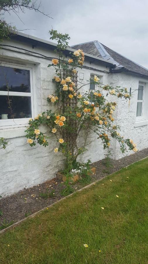 Vila Barcloy Honey House Kirkcudbright Exteriér fotografie